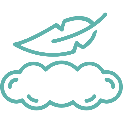 soft icon 2
